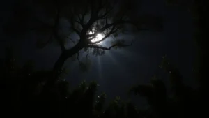 Significado da visita de morcego na bíblia